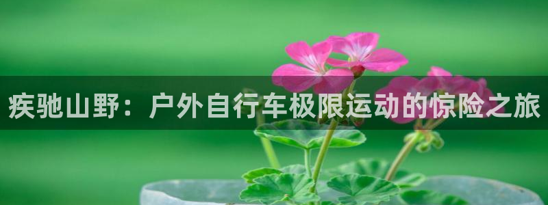 ag尊龙凯时人生就是博|疾驰山野:户外自行车极限运动的惊险之旅(图1) ag尊龙凯时人生就是博