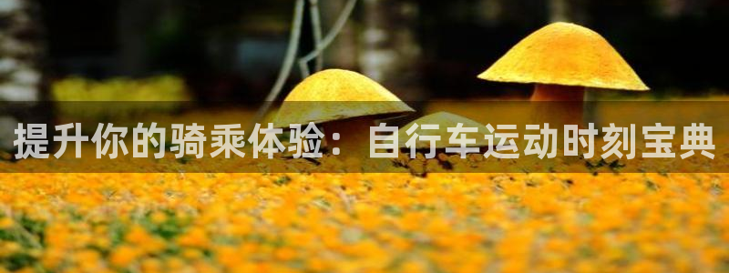 尊龙凯时平台|提升你的骑乘体验:自行车运动时刻宝典(图1) 尊龙凯时平台