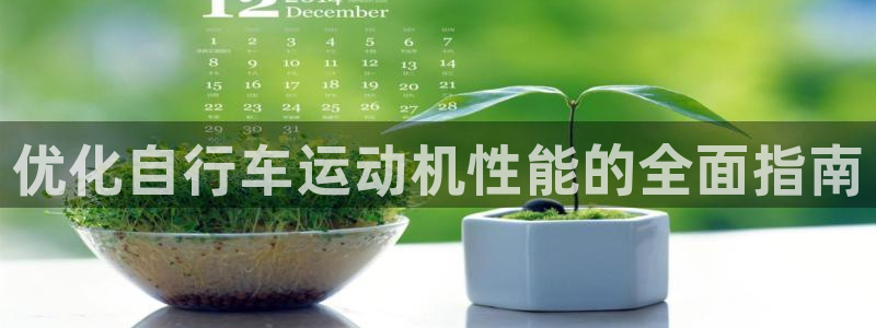 凯时尊龙官网|优化自行车运动机性能的全面指南(图1) 凯时尊龙官网