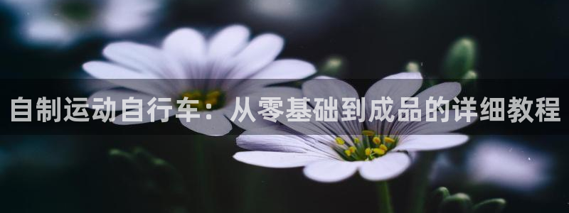 尊龙凯时人生就是搏平台|自制运动自行车:从零基础到成品的详细教程(图1) 尊龙凯时人生就是搏平台