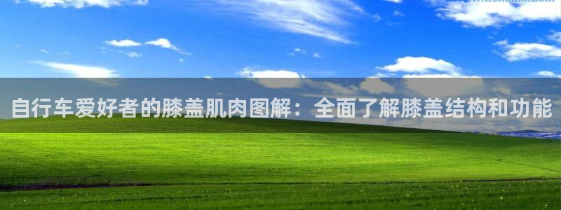 尊龙凯时的最新消息|自行车爱好者的膝盖肌肉图解:全面了解膝盖结构和功能(图1) 尊龙凯时的最新消息