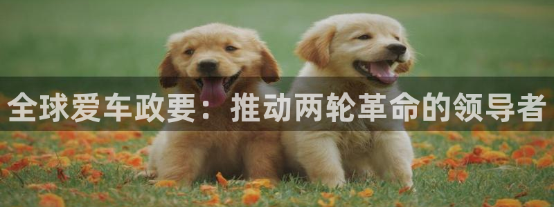 z6com尊龙凯时|全球爱车政要:推动两轮革命的领导者(图1) z6com尊龙凯时