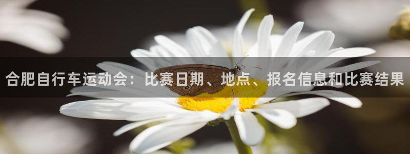 凯时尊龙登录入口|合肥自行车运动会:比赛日期、地点、报名信息和比赛结果(图1) 凯时尊龙登录入口