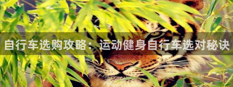 尊龙凯时人生就博官网登录|自行车选购攻略:运动健身自行车选对秘诀(图1) 尊龙凯时人生就博官网登录