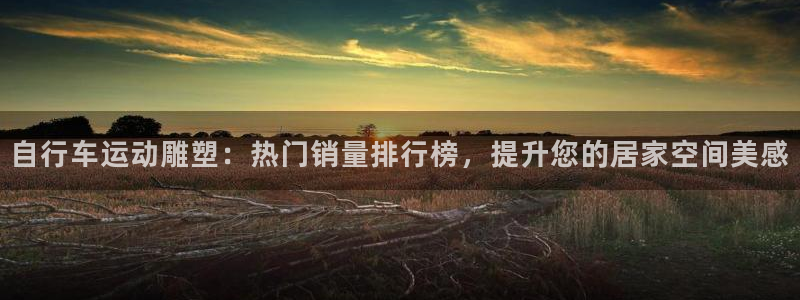 尊龙凯时·中国官方网站|自行车运动雕塑:热门销量排行榜,提升您的居家空间美感(图1) 尊龙凯时·中国官方网站