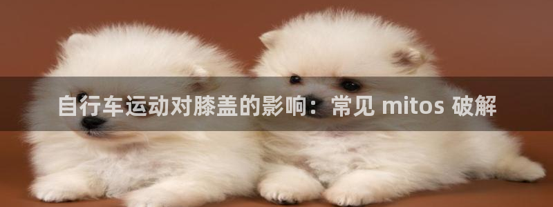 尊龙凯时d3563|自行车运动对膝盖的影响:常见 mitos 破解(图1) 尊龙凯时d3563