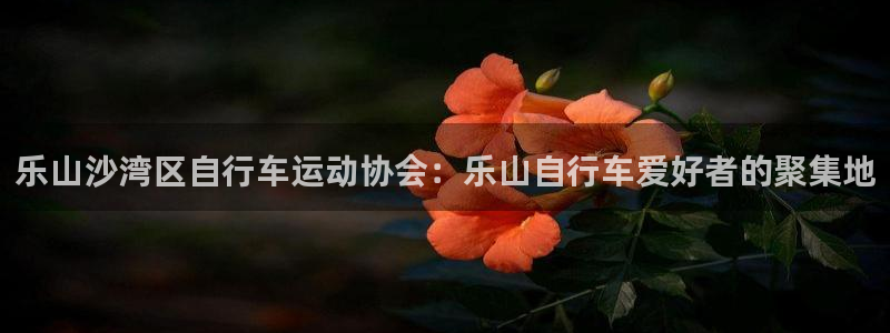 新版尊龙|乐山沙湾区自行车运动协会:乐山自行车爱好者的聚集地(图1) 新版尊龙