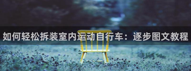 尊龙凯时中国官网|如何轻松拆装室内运动自行车:逐步图文教程(图1) 尊龙凯时中国官网