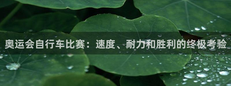 尊龙凯时·中国官方网站|奥运会自行车比赛:速度、耐力和胜利的终极考验(图1) 尊龙凯时·中国官方网站