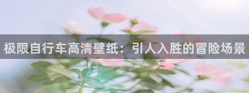 尊龙凯时首页|极限自行车高清壁纸:引人入胜的冒险场景(图1) 尊龙凯时首页